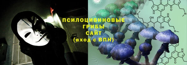 твердый Армянск